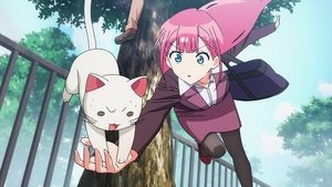 Bokutachi wa Benkyou ga Dekinai: 1 Staffel 7 Folge