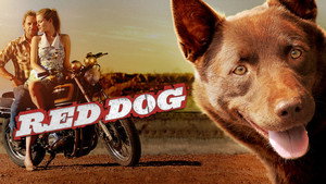 Red Dog