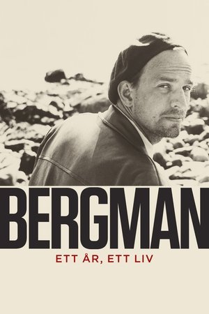 Bergman - ett år, ett liv 2018