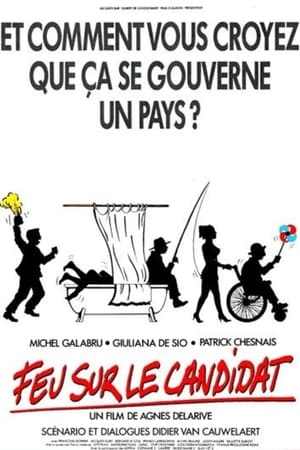 Poster Feu sur le candidat 1990