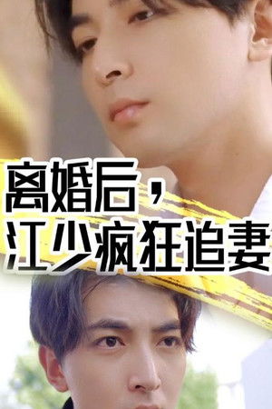 离婚后江少疯狂追妻