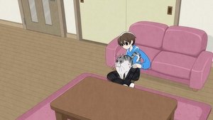 Nights With a Cat: 1×19