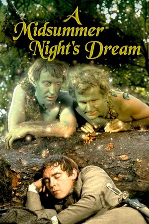 Image A Midsummer Night's Dream