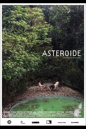 Poster Asteroide 2014