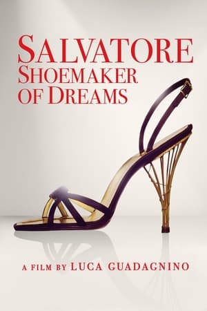 Salvatore: Shoemaker of Dreams (2021) | Team Personality Map