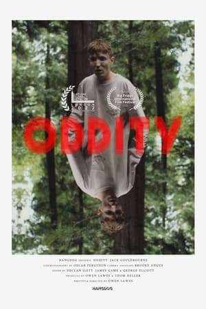 Poster Oddity (2022)