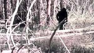 The Legend of Bigfoot 3
