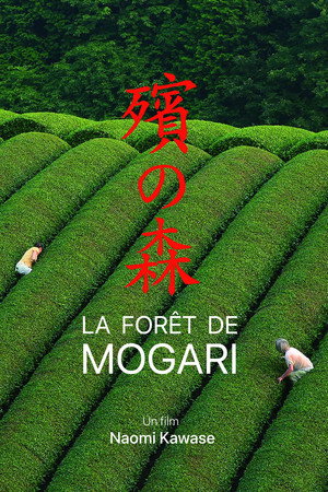 The Mourning Forest