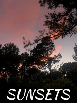 Sunsets 2