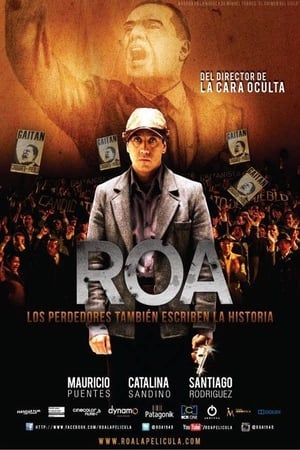 Poster Roa 2013