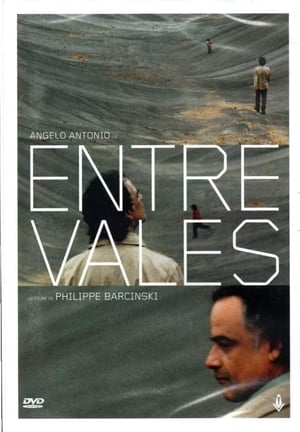 Poster Entre Vales 2012