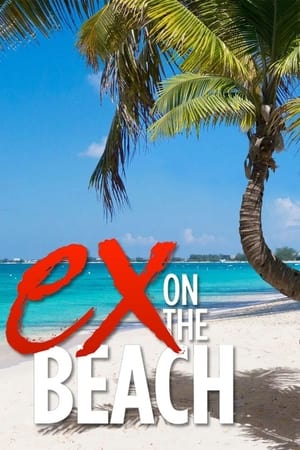 Ex On The Beach: Temporada 6