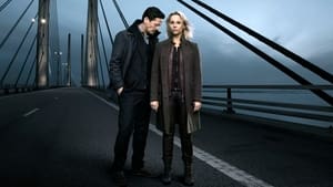 Serial Online: The Bridge (2011), serial online subtitrat în Română