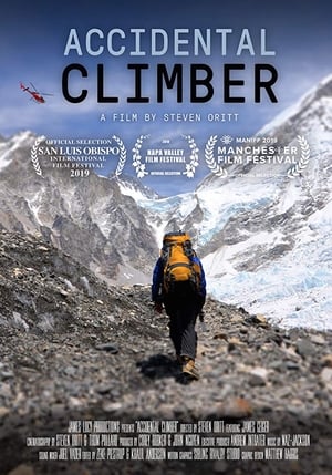 Accidental Climber film complet