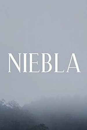 Poster Niebla 2022