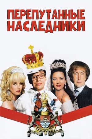 Poster Перепутанные наследники 1993