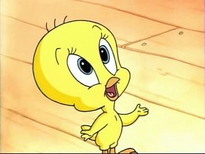 Baby Looney Tunes: 1×11