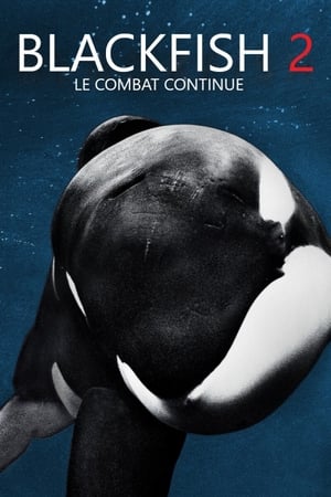 Image Blackfish 2