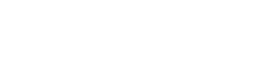 100 Rifles