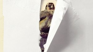 The Goldfinch 2019