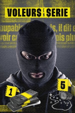 Voleurs en série movie poster
