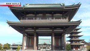 Journeys in Japan: 14×1