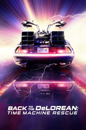 Image Outatime: Saving the DeLorean Time Machine