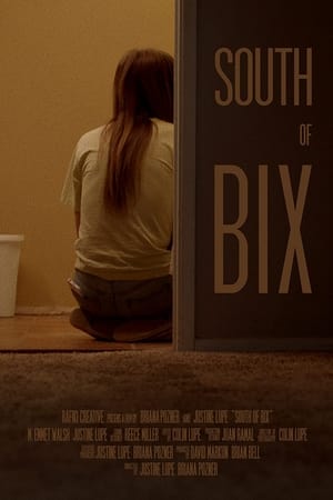Poster South of Bix 2019