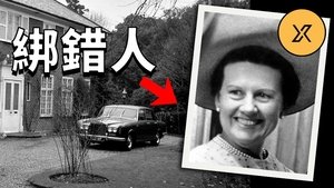 Episode 29 on X调查 Season 1 Episode 29 – March 28, 2020