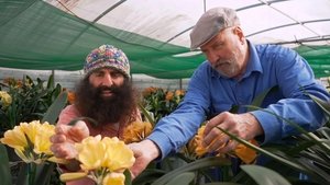 Episode 20 Winter: Colourful clivias & pretty proteas