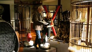 CSI: Crime Scene Investigation: 14×8