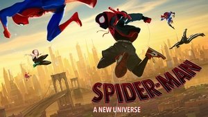 Spider-Man: into the Spider Verse 2018