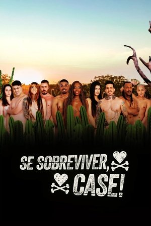 Saison 3