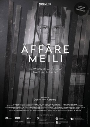 Die Affäre Meili film complet