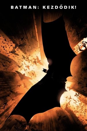 Poster Batman: Kezdődik 2005