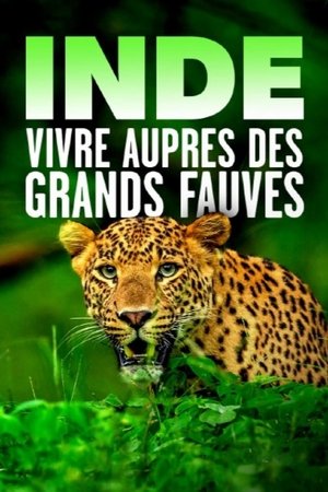 Poster Inde - Vivre auprès des grands fauves (2021)