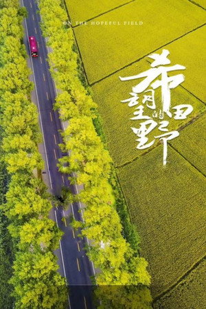 希望的田野