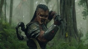 Images posters