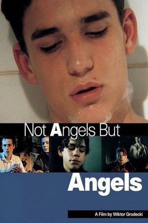 Poster Not Angels But Angels (1994)