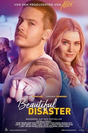 Image Beautiful Disaster