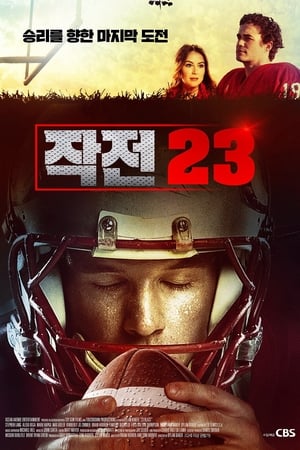 작전 23