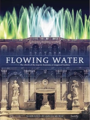 Poster Flowing Water 2017