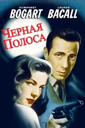 Poster Черная полоса 1947