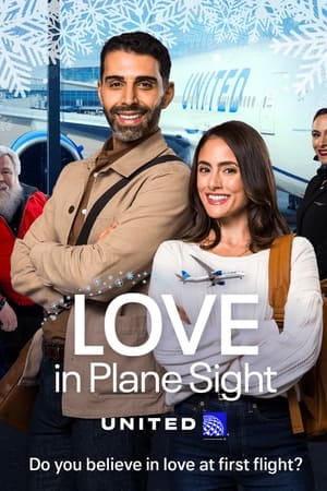 Poster Love in Plane Sight (2023)