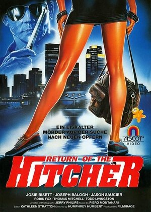 Poster Hitcher in the Dark (1989)