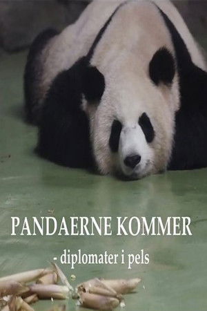 Pandaerne kommer - Diplomater i pels