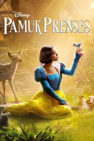 poster Snow White