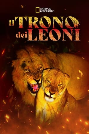 Game of Lions
