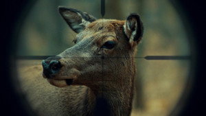 Hannibal – Todas as Temporadas Dual Áudio 1080p