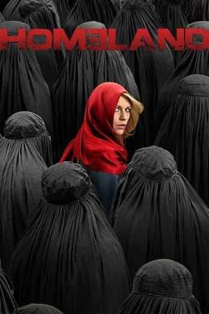 Homeland: Staffel 4